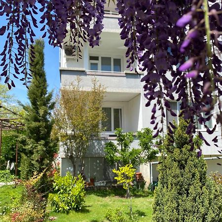 Family Hotel "May" Petrich (Blagoevgrad) Exterior foto